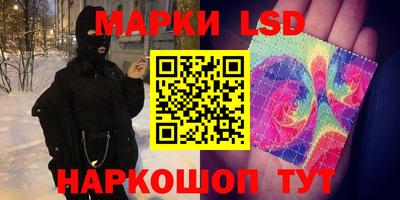 шишки Аргун