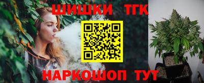 шишки Аргун