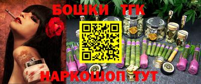 шишки Аргун